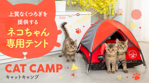 ネコちゃんの心を一瞬でつかむ！通常サイズを縮尺した居心地抜群のネコ専用テント