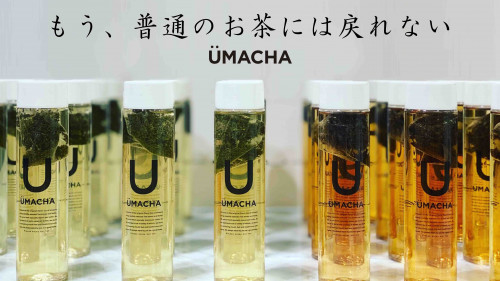 台湾で厳選した本物のお茶【UMACHA】を全国の方へお届けしたい！